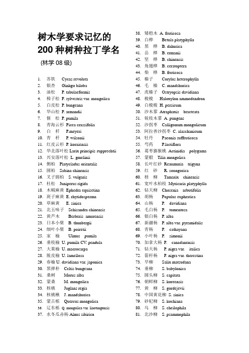 200种树木拉丁学名