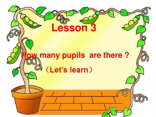 五年级英语下册Lesson3《Howmanypupilsarethere》 优秀课件4科普版