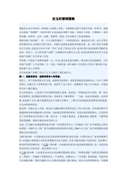 史玉柱营销策略