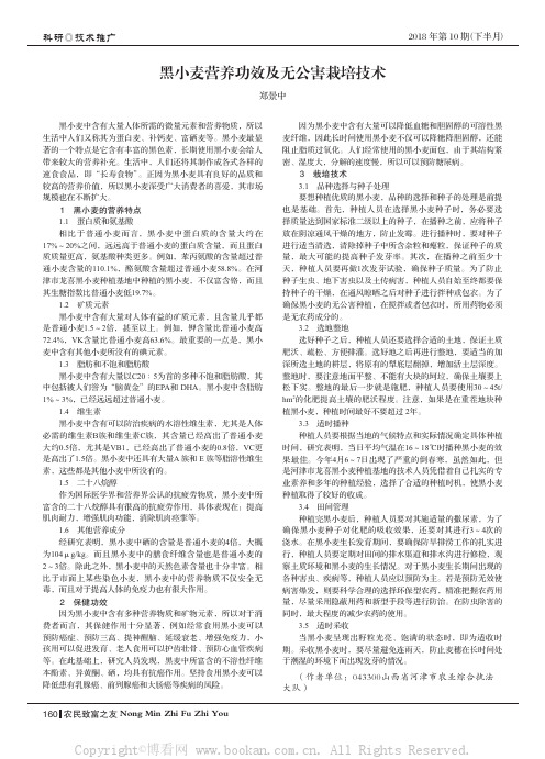 黑小麦营养功效及无公害栽培技术