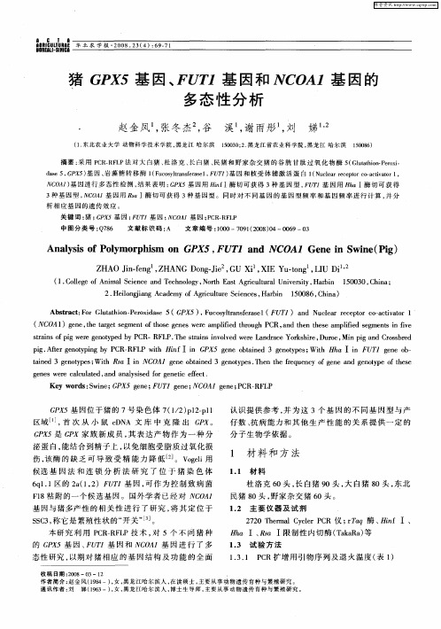 猪GPX5基因、FUT1阳基因和NCOA1基因的多态性分析