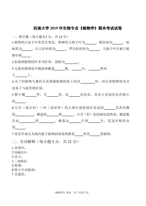 西南大学2019年生物专业《植物学》期末考试试卷