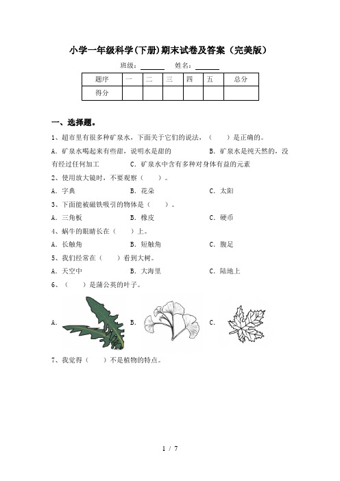 小学一年级科学(下册)期末试卷及答案(完美版)