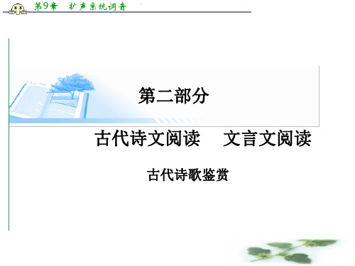 高考语文基础知识总复习精讲课件 古代诗歌鉴赏