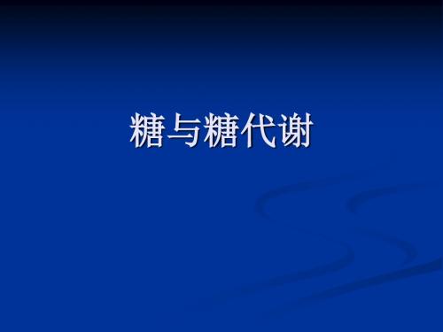 11糖与糖代谢