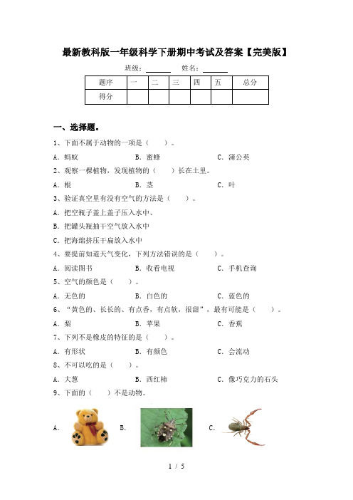 最新教科版一年级科学下册期中考试及答案【完美版】