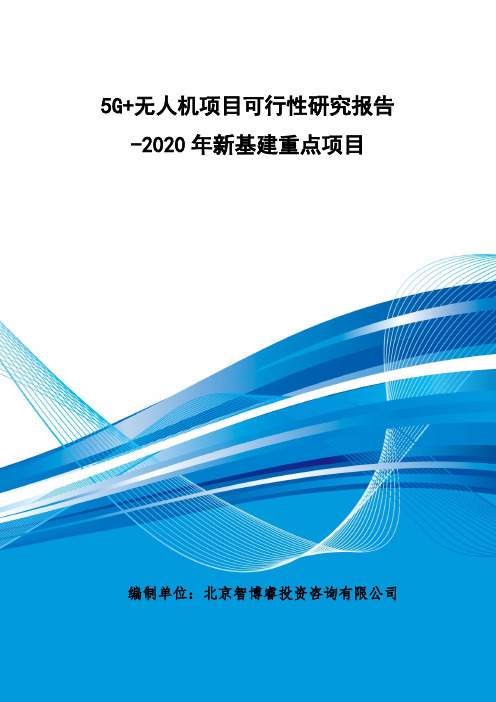 5G+无人机项目可行性研究报告-2020年新基建重点项目