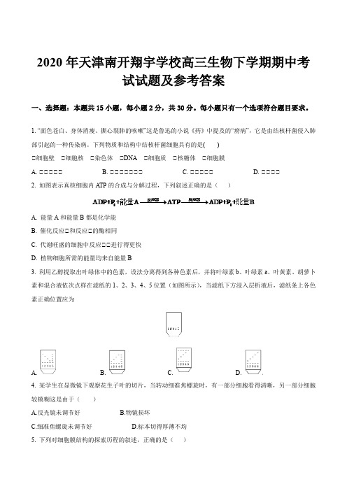 2020年天津南开翔宇学校高三生物下学期期中考试试题及参考答案