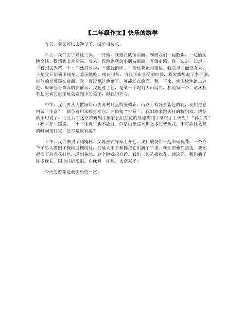 【二年级作文】快乐的游学