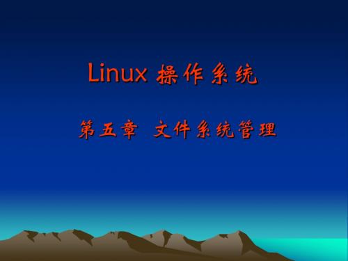 第五章 磁盘和Linux文件系统管理