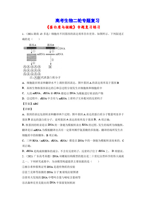 高考生物二轮专题复习：专题18 蛋白质与核酸(习题精练含答案详解)