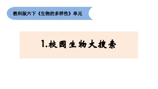 教科版小学科学六年级下册2-1 《校园生物大搜索》