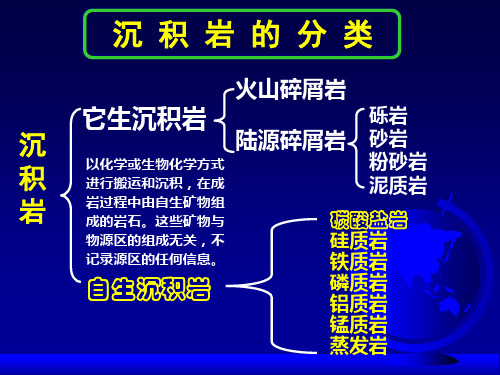 岩石学102自生沉积岩类分解