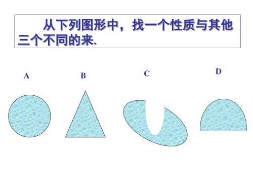 13、事物的正确答案不止一个课件.ppt