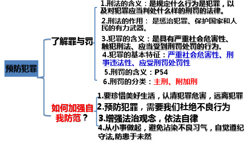 人教版道德与法治八年级上册5.3善用法律 课件(共32张PPT)