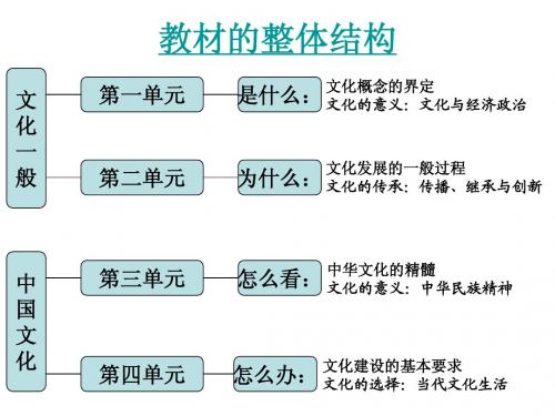 第八课  走进文化生活1