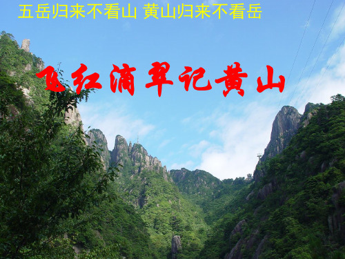 苏教九年级语文上册《飞红滴翠记黄山》课件