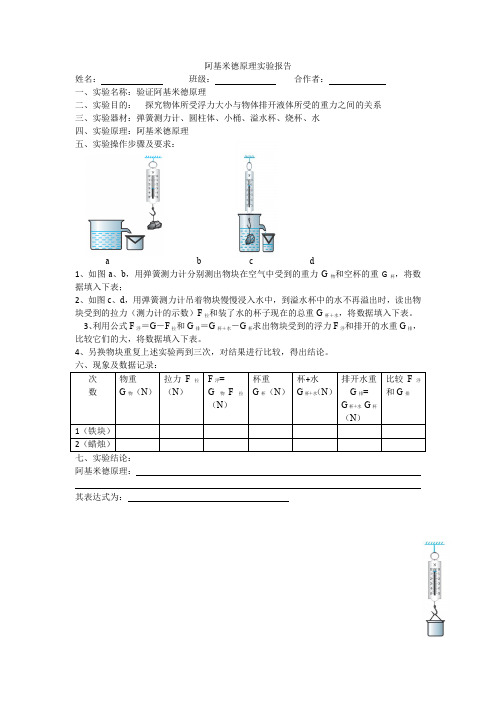 阿基米德实验报告