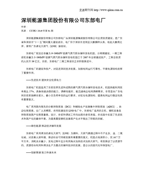 深圳能源集团股份有限公司东部电厂