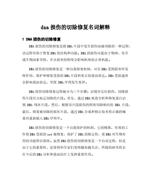 dna损伤的切除修复名词解释