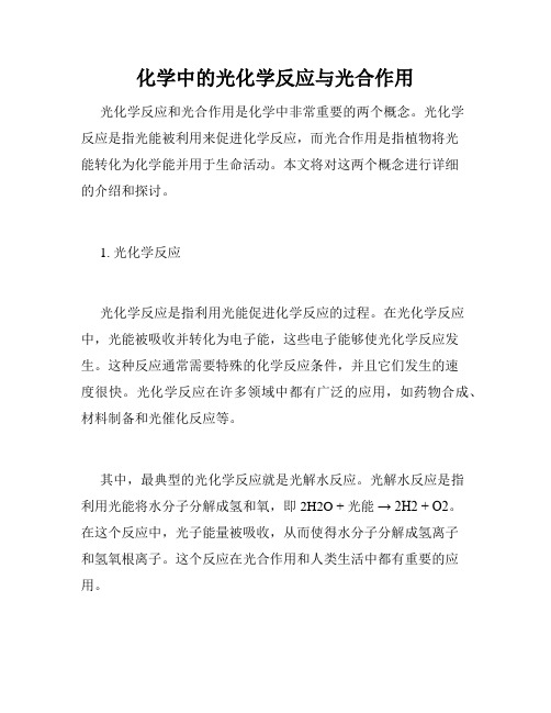 化学中的光化学反应与光合作用