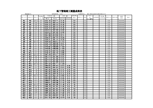 管线点成果表