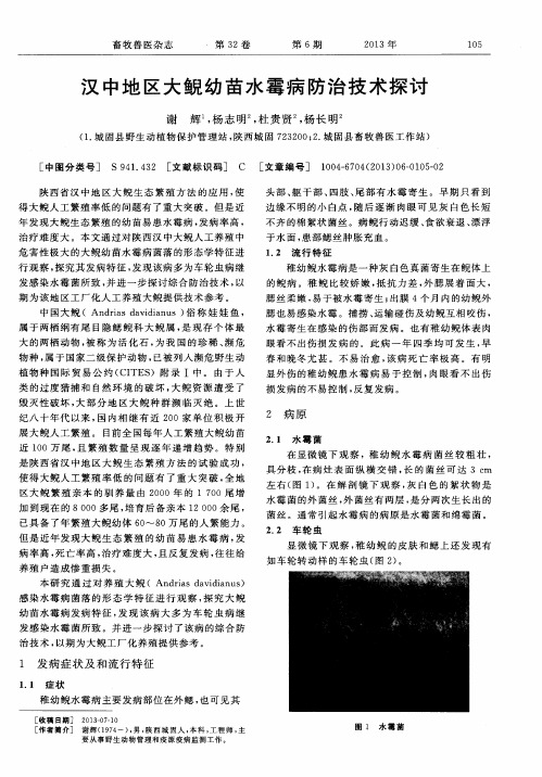 汉中地区大鲵幼苗水霉病防治技术探讨