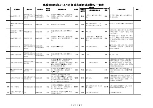 1-12月项目进展表