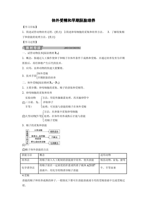 学案8：3.2  体外受精和早期胚胎培养