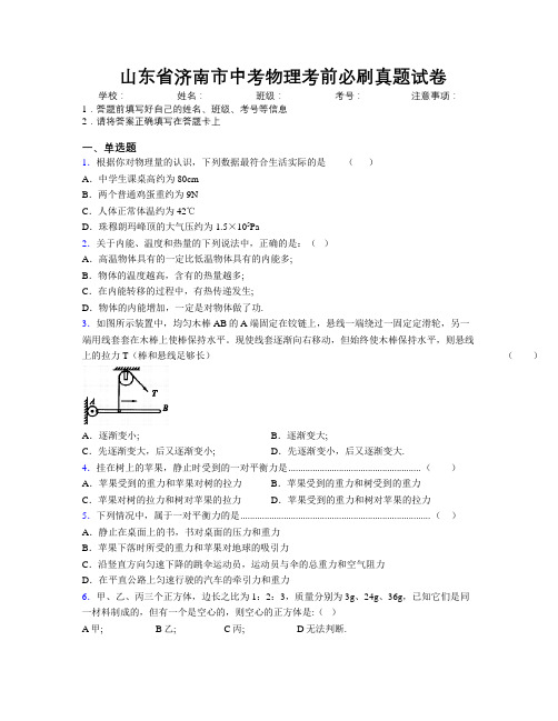 最新山东省济南市中考物理考前必刷真题试卷及解析