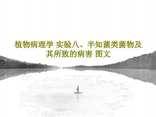 植物病理学 实验八、半知菌类菌物及其所致的病害 图文共18页文档