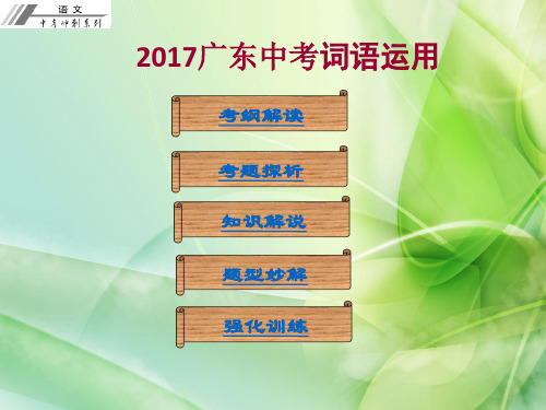 2017广东中考词语运用