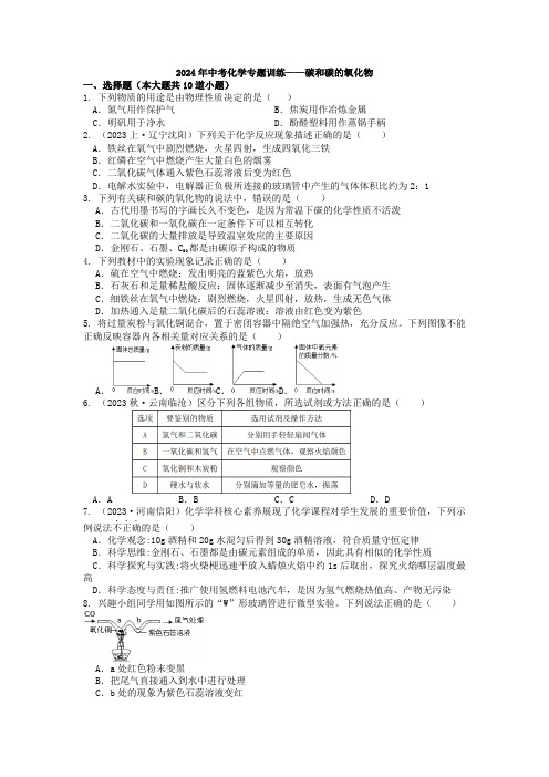 2024年中考化学专题训练——碳和碳的氧化物