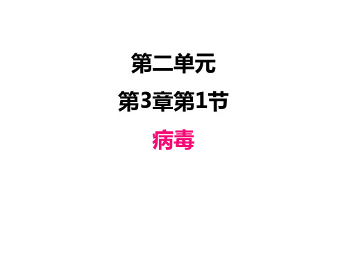 济南版初中七年级上册生物精品教学课件 第一单元 第3章 病毒