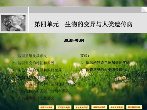 高考总复习生物突破课件2-4-1:生物的变异