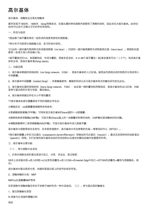 高尔基体——精选推荐