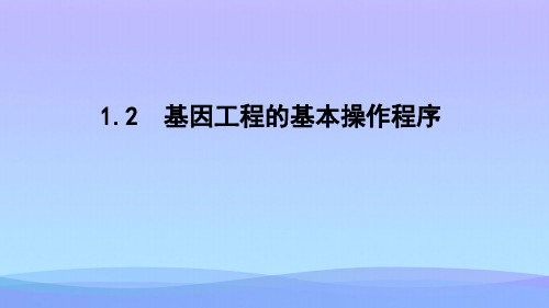 人教版高中生物选修三 1.2.1   基因工程的基本操作程序 (共47张PPT)