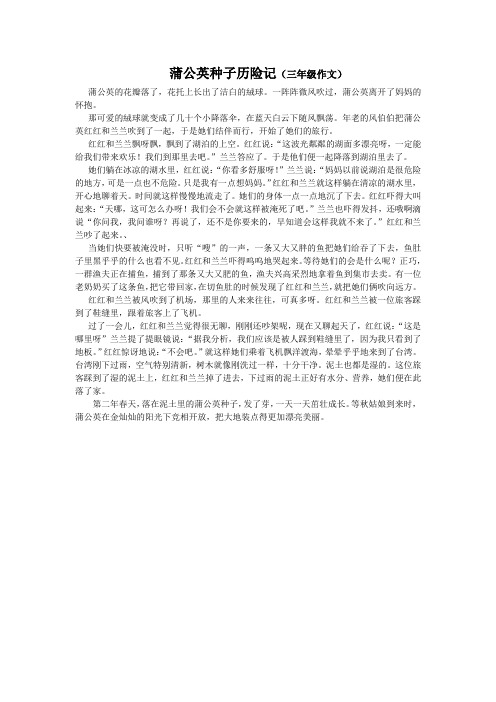 蒲公英种子历险记