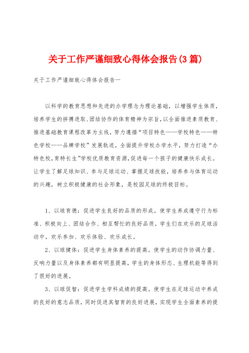 关于工作严谨细致心得体会报告(3篇)