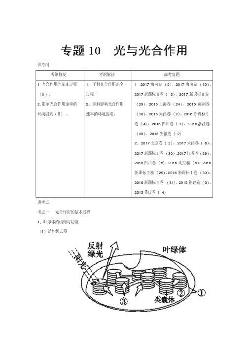 [高考生物]一轮复习人教版光与光合作用教案.doc