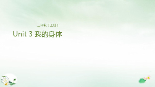 三年级上册英语-Unit 3 我的身体 冀教版PPT课件