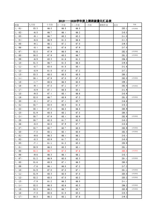 班级量化汇总表