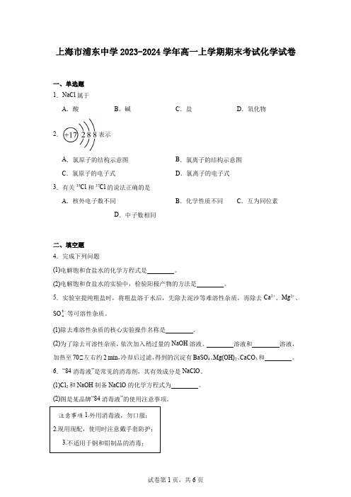 上海市浦东中学2023-2024学年高一上学期期末考试化学试卷