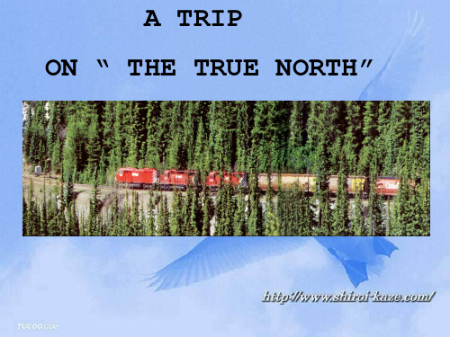 人教版英语必修三《unit5 a trip on the true north》课件