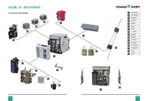 TGW 智能断路器样本