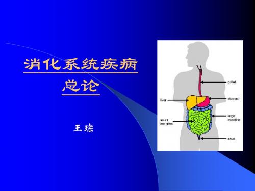 消化系统疾病总论