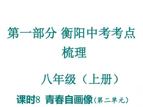 中考政治复习训练课件：课时8  青自画像