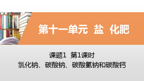 2020年春人教版九年级化学下册同步练习课件：课题1  第1课时 氯化钠、碳酸钠、碳酸氢钠和碳酸钙