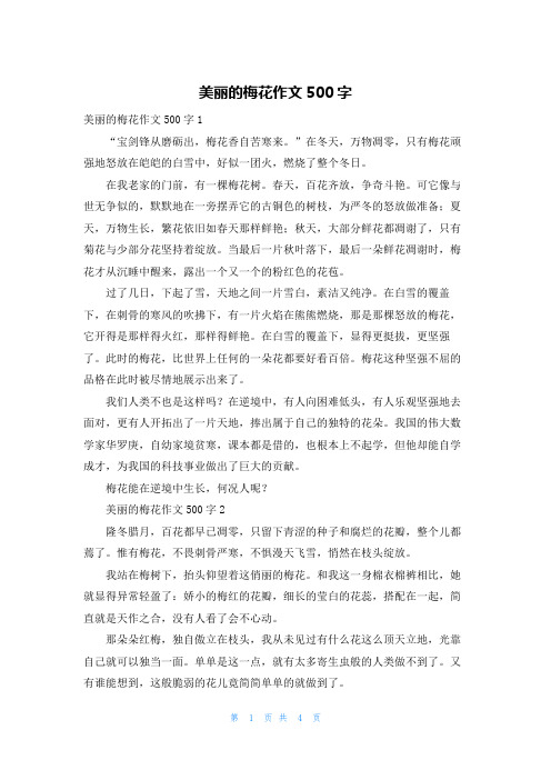 美丽的梅花作文500字