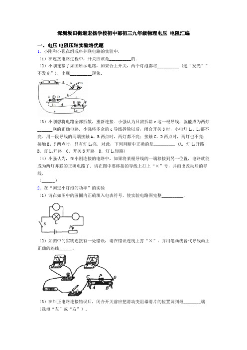 深圳坂田街道宏扬学校初中部初三九年级物理电压 电阻汇编